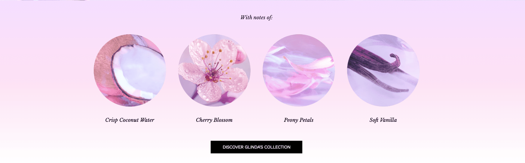 Campaign templates case study screenshot